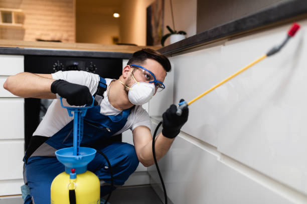 Best Cockroach Control Services  in Virginia Beach, VA