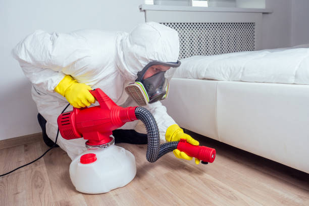 Best Residential Pest Control  in Virginia Beach, VA