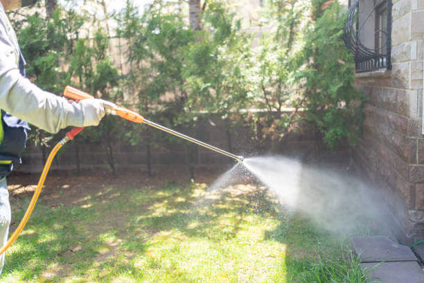 Best Best Pest Control Companies  in Virginia Beach, VA