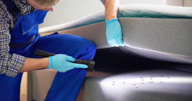 Best Bed Bug Extermination  in Virginia Beach, VA