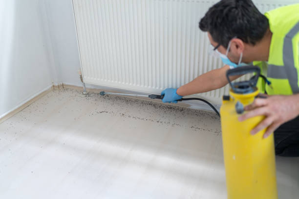 Best Pest Control Near Me  in Virginia Beach, VA